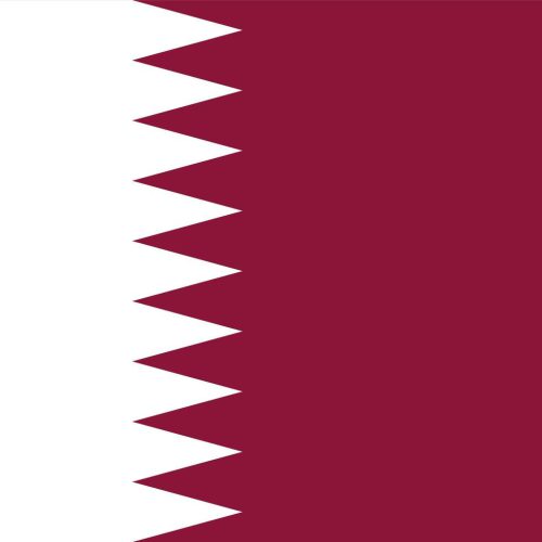 Request a robot for Qatar